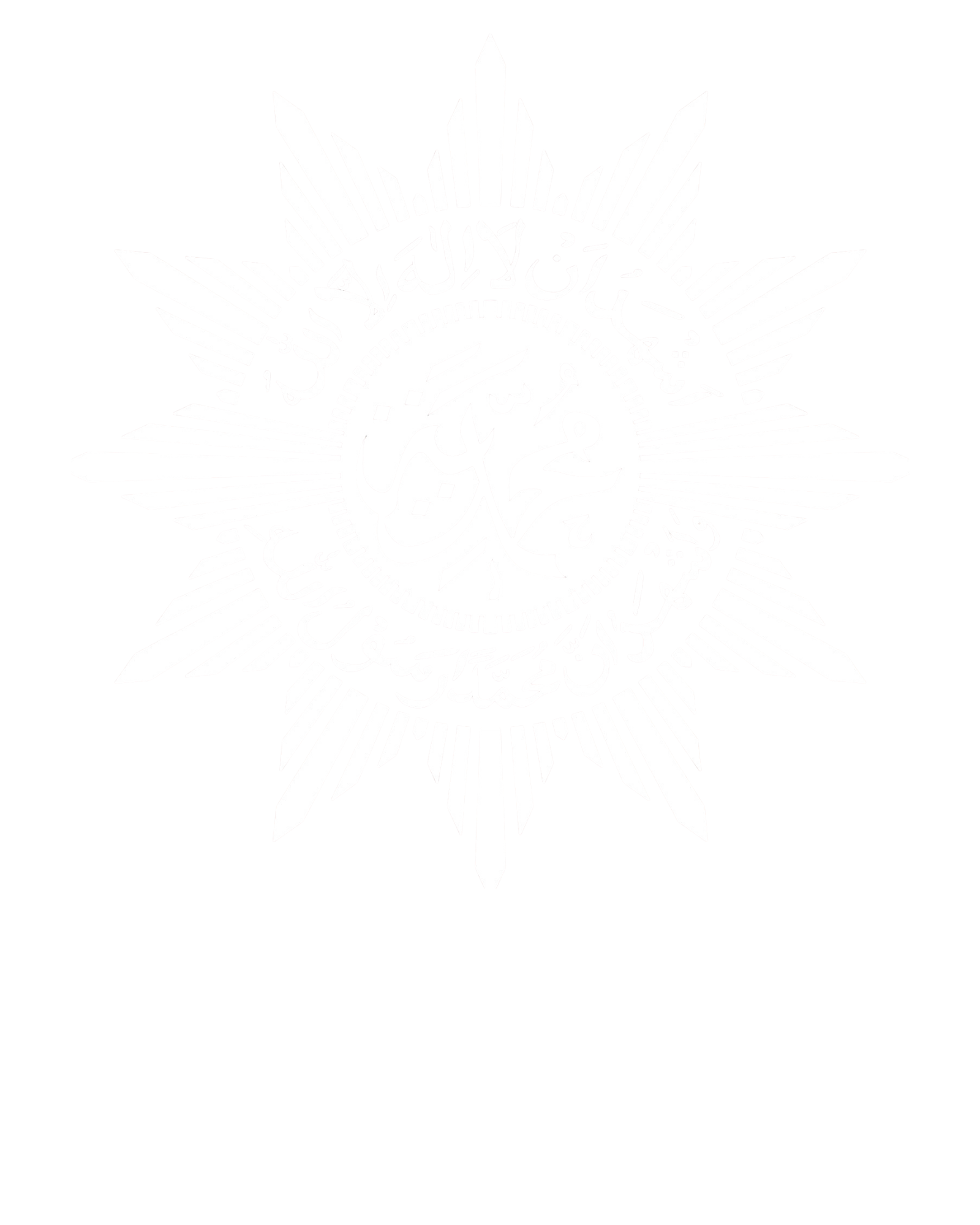 Logo Footer PDM